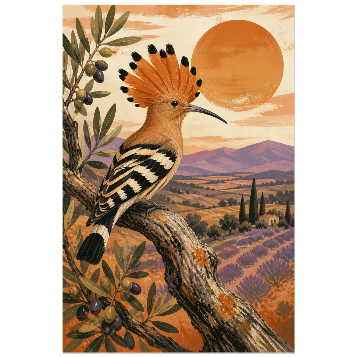 Affiche Huppe fasciée - Lumière de Provence, affiche méditerranéenne vintage en aplats texturés verticale, format 60 × 90 cm