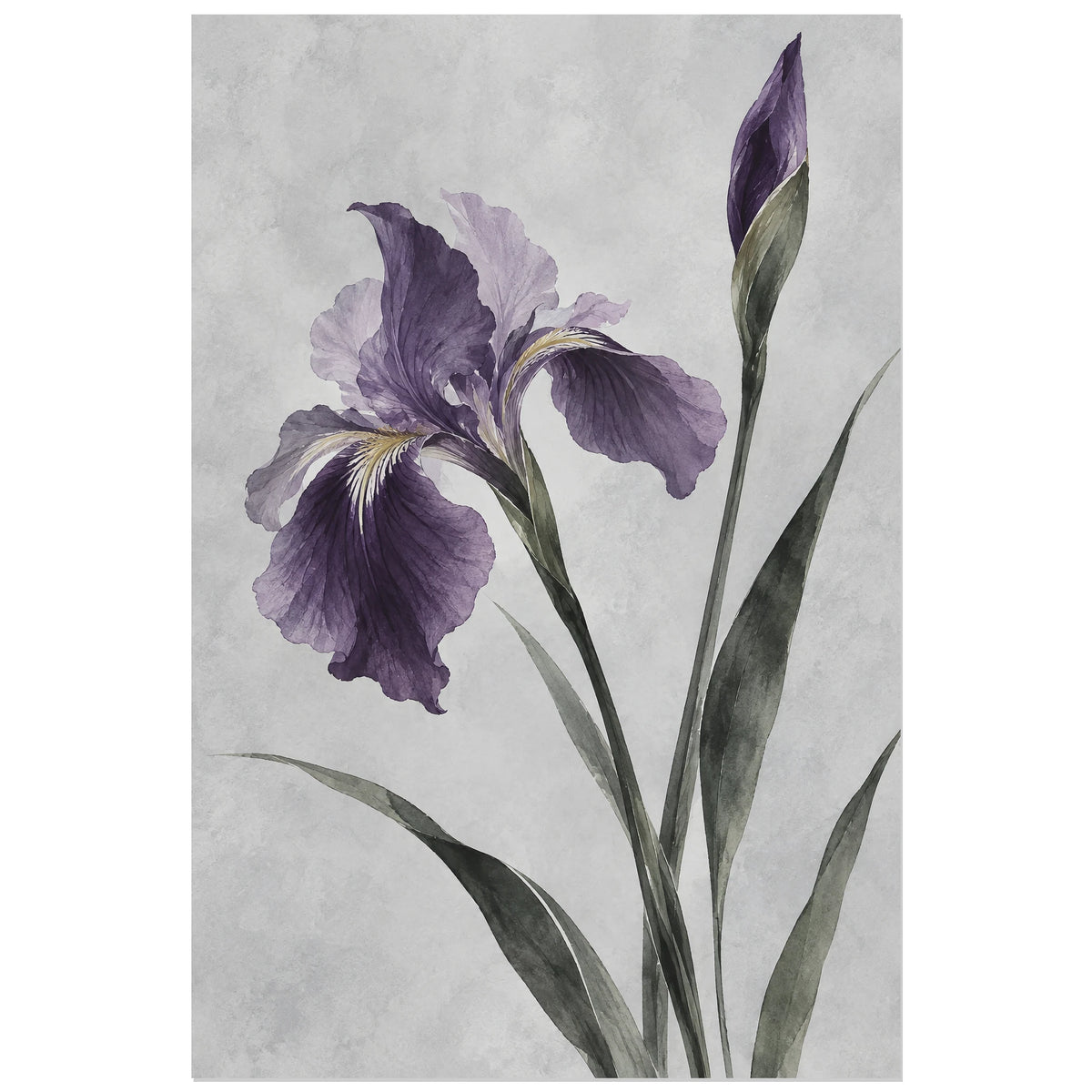 Affiche Japandi Iris à l'encre violette, illustration botanique / lavis à l'aquarelle verticale, format 30 × 45 cm