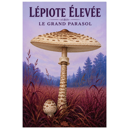 Affiche Lépiote élevée – Le grand parasol, gouache paysagère / affiche vintage verticale, format 40 × 60 cm