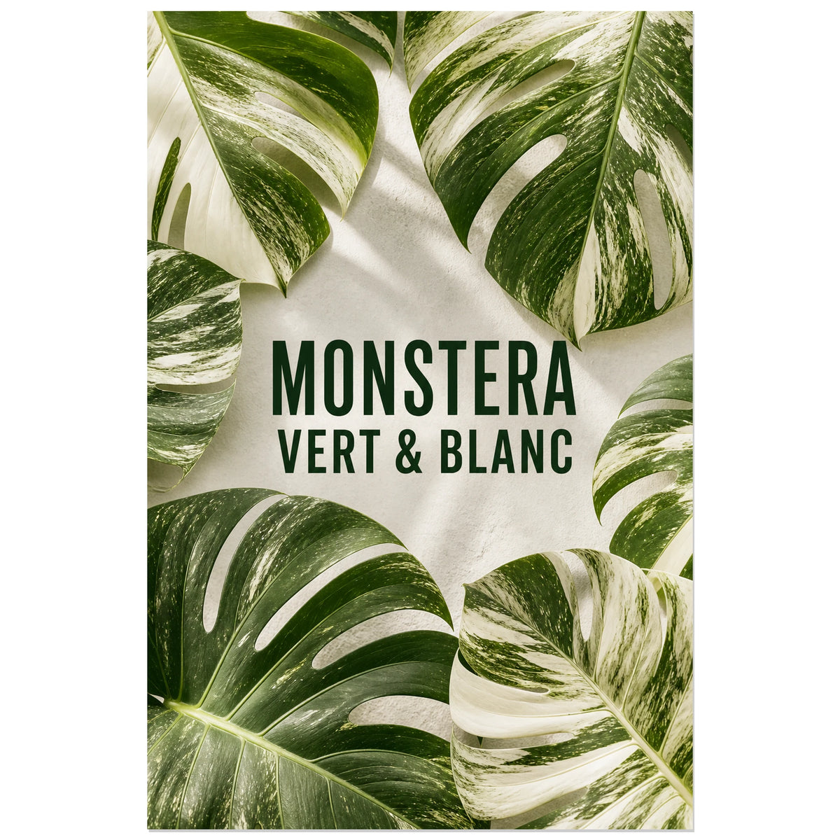 Affiche Monstera – Vert et blanc, photographie botanique éditoriale fraîche et minimaliste verticale, format 30 × 45 cm