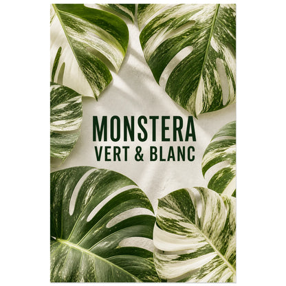 Affiche Monstera – Vert et blanc, photographie botanique éditoriale fraîche et minimaliste verticale, format 60 × 90 cm