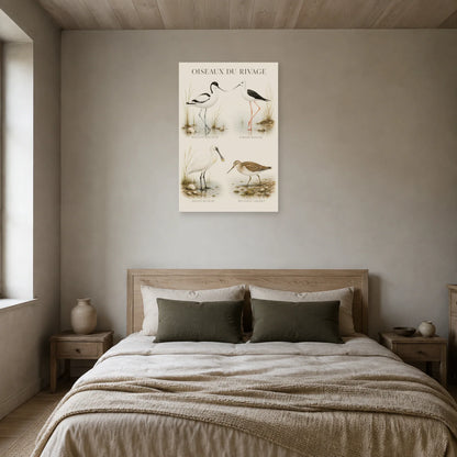 Affiche Oiseaux du rivage - Étude naturaliste dans une chambre - Art Virtuoso