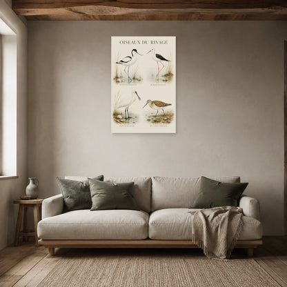 Affiche Oiseaux du rivage - Étude naturaliste dans un salon - Art Virtuoso