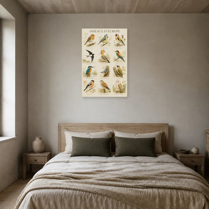 Affiche Oiseaux d’Europe - Planche illustrée dans une chambre - Art Virtuoso