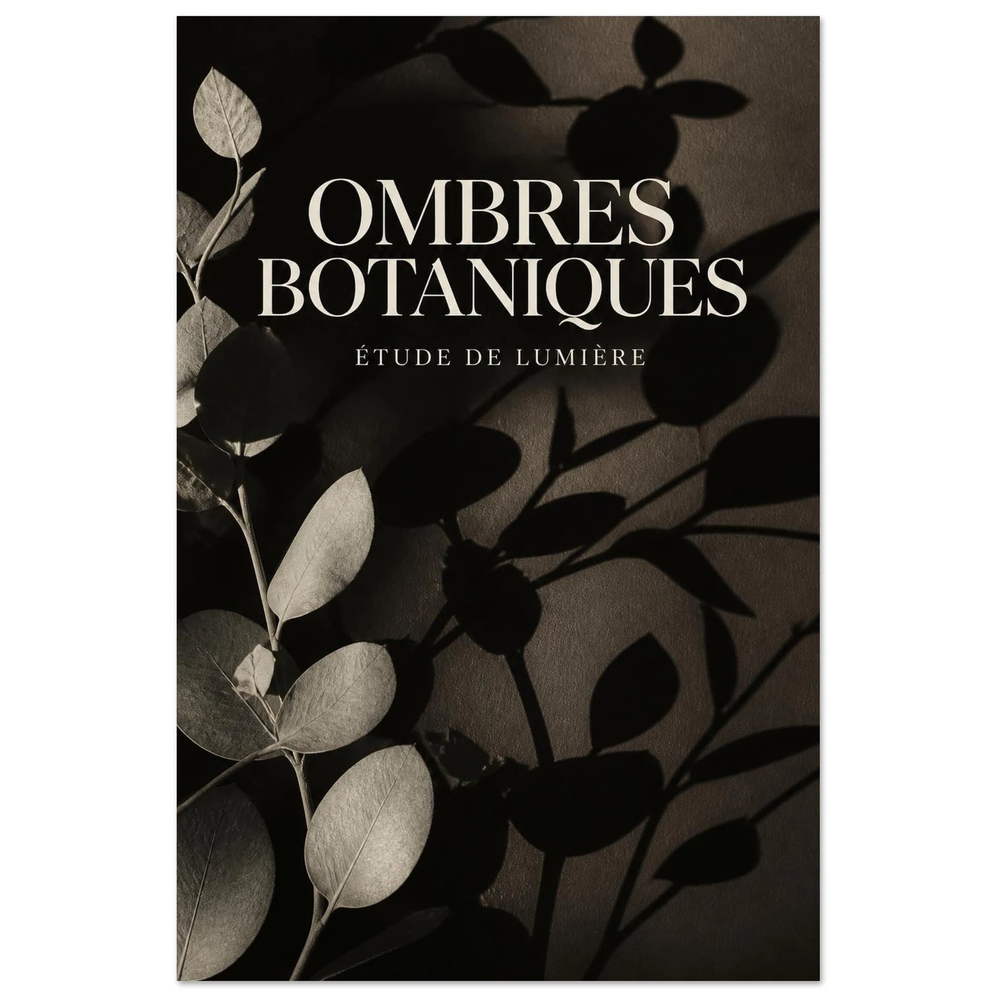 Affiche Ombres Botaniques – Étude de Lumière, photographie éditoriale verticale, format 30 × 45 cm