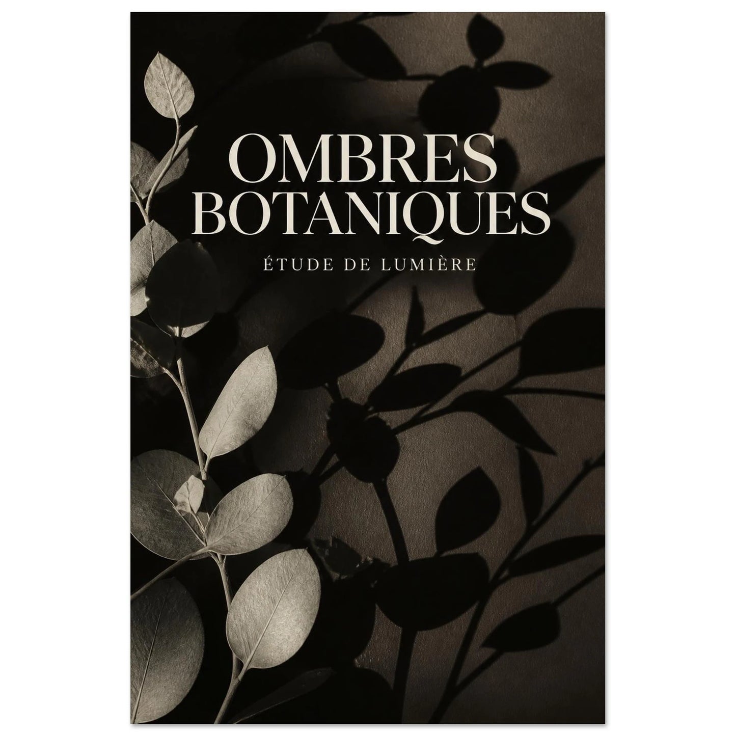 Affiche Ombres Botaniques – Étude de Lumière, photographie éditoriale verticale, format 40 × 60 cm