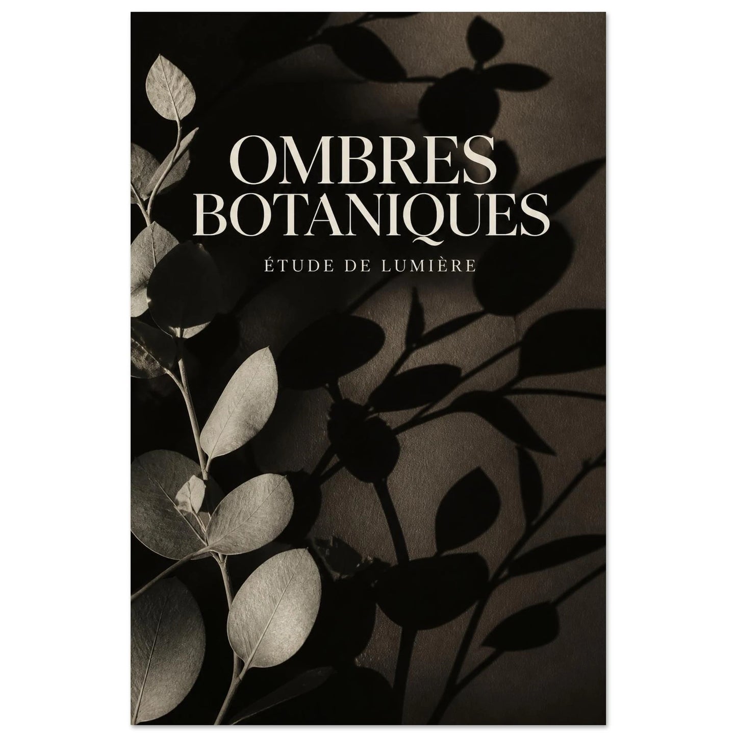 Affiche Ombres Botaniques – Étude de Lumière, photographie éditoriale verticale, format 60 × 90 cm