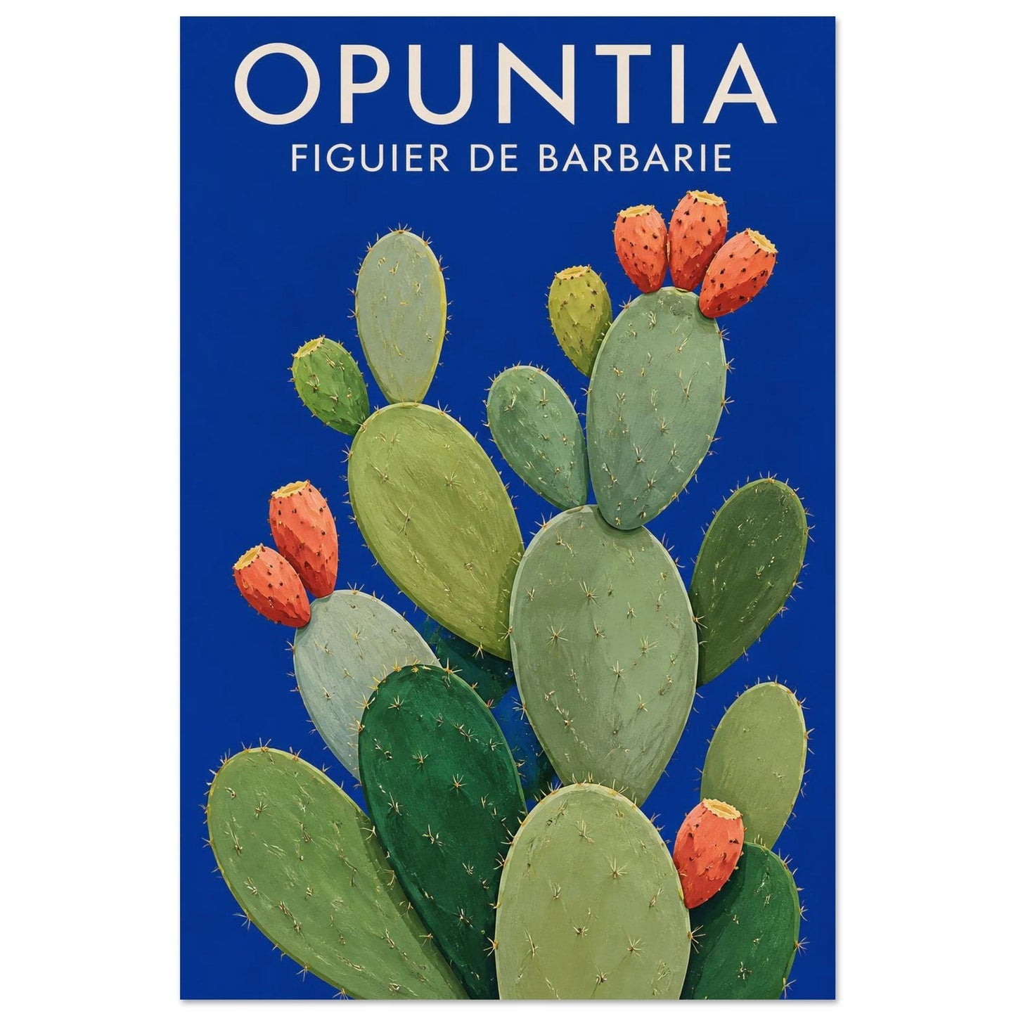 Affiche Opuntia – Figuier de Barbarie, papier découpé et gouache verticale, format 60 × 90 cm