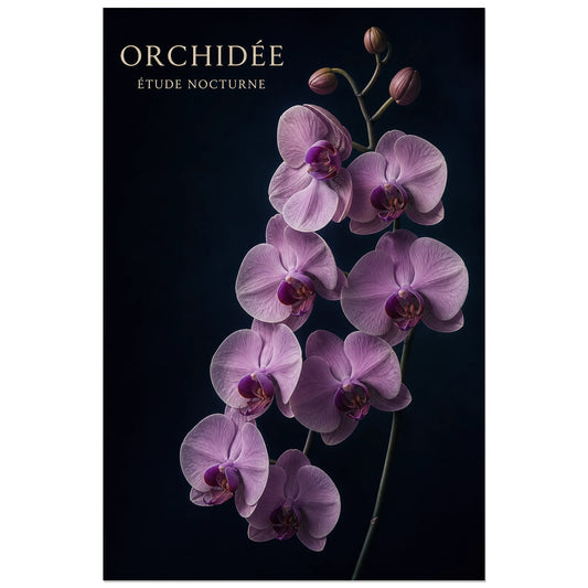 Affiche Orchidée – Étude Nocturne, photographie botanique nocturne verticale, format 30 × 45 cm
