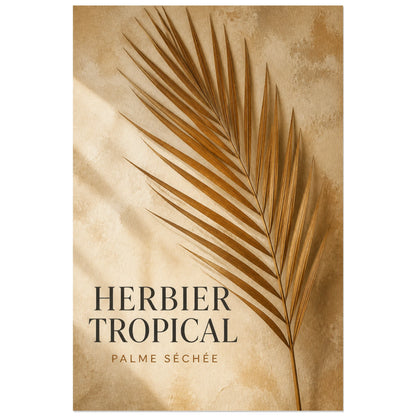 Affiche Herbier tropical – Palme séchée, photographie éditoriale d’herbier contemporain aux textures naturelles verticale, format 30 × 45 cm