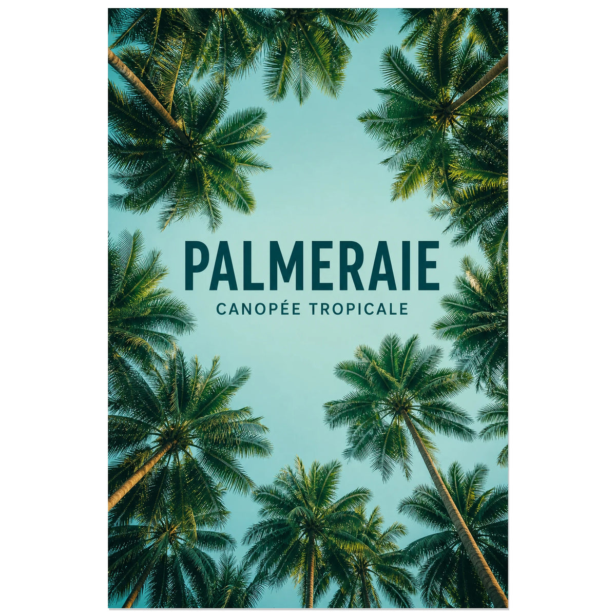 Affiche Palmeraie – Canopée tropicale, photographie tropicale lumineuse en contre-plongée verticale, format 40 × 60 cm