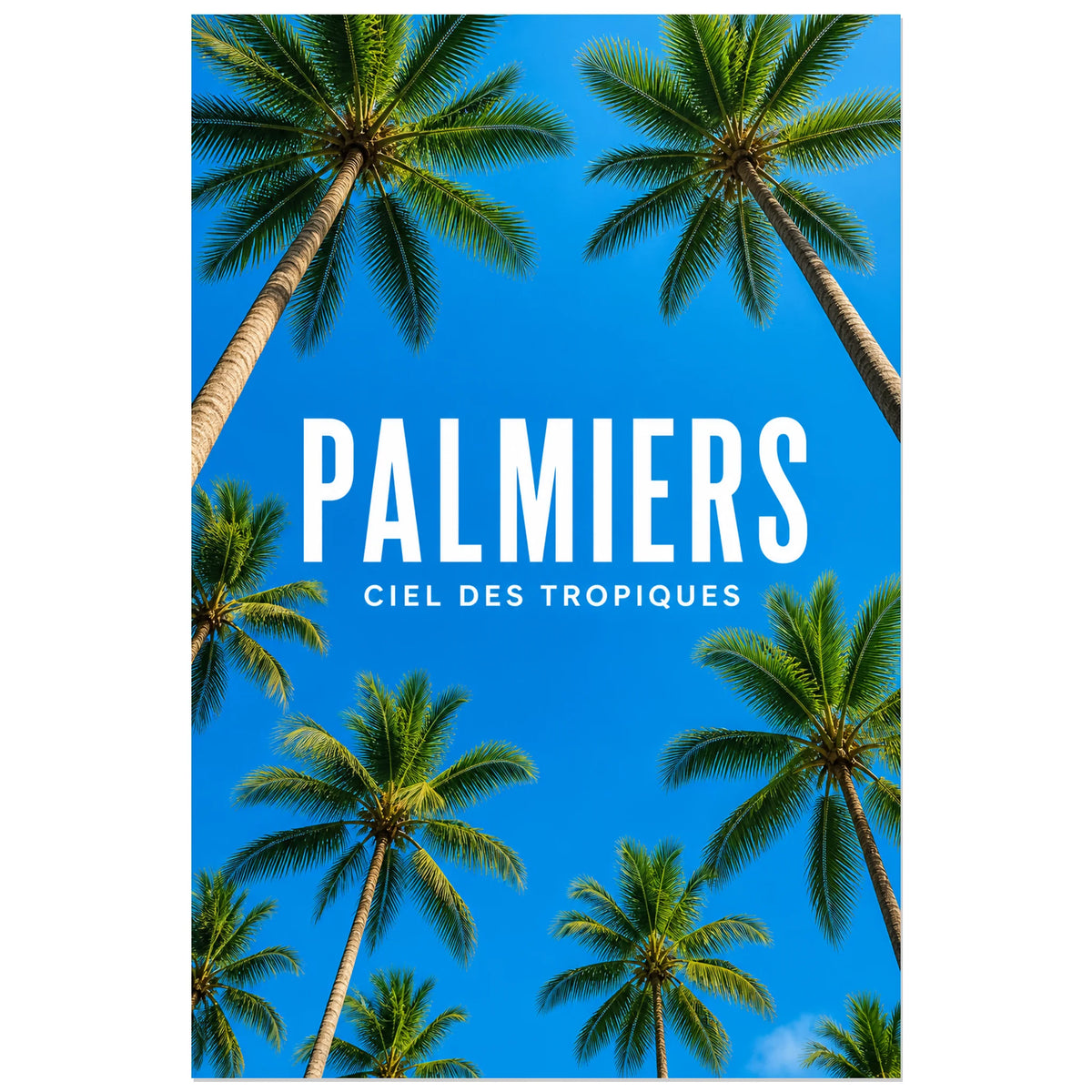 Affiche Palmiers – Ciel des tropiques, photographie tropicale graphique en contre-plongée verticale, format 60 × 90 cm