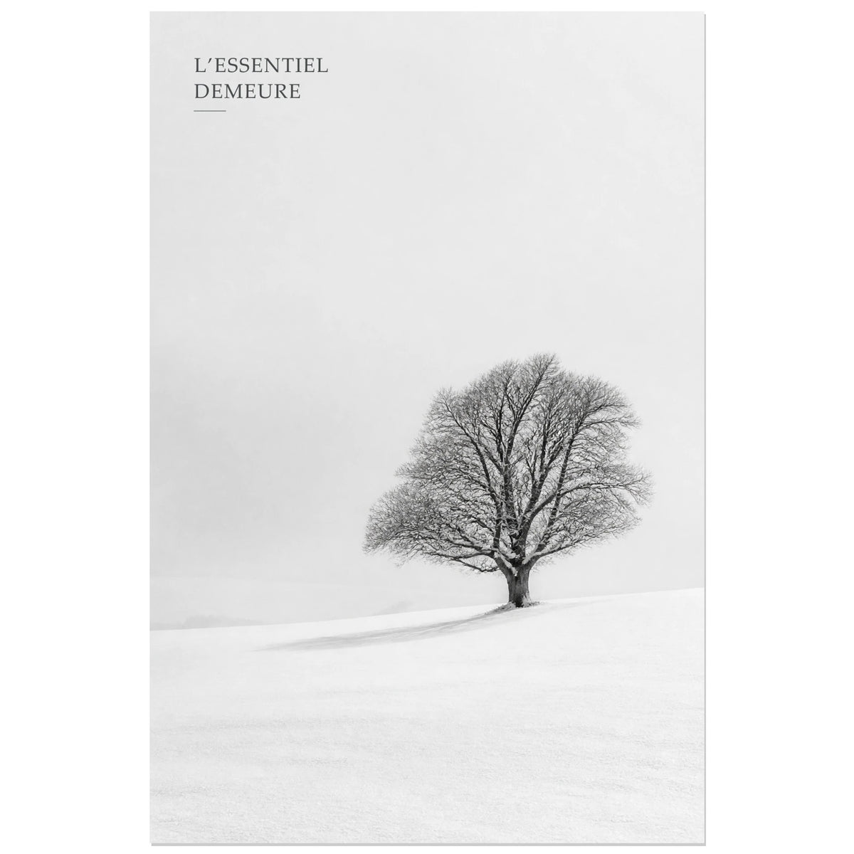 Affiche photo L’arbre essentiel - L’essentiel demeure, photographie hivernale minimaliste en noir et blanc verticale, format 30 × 45 cm
