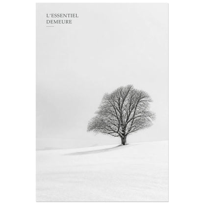 Affiche photo L’arbre essentiel - L’essentiel demeure, photographie hivernale minimaliste en noir et blanc verticale, format 30 × 45 cm