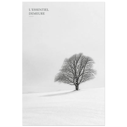 Affiche photo L’arbre essentiel - L’essentiel demeure, photographie hivernale minimaliste en noir et blanc verticale, format 40 × 60 cm