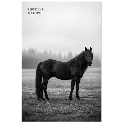 Affiche photo Cheval libre en noir et blanc - Libre par nature, portrait animalier photographique minimaliste en noir et blanc verticale, format 40 × 60 cm