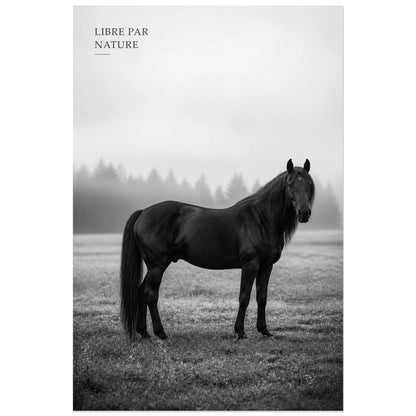 Affiche photo Cheval libre en noir et blanc - Libre par nature, portrait animalier photographique minimaliste en noir et blanc verticale, format 60 × 90 cm