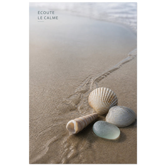 Affiche photo Coquillages sur le sable - Écoute le calme, photographie côtière macro, douce et minérale verticale, format 30 × 45 cm