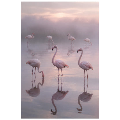 Affiche Flamants dans la brume de la lagune, photographie animalière d’art douce et atmosphérique verticale, format 60 × 90 cm