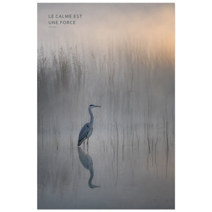 Affiche photo Héron dans la brume - Le calme est une force, photographie animalière minimaliste et contemplative verticale, format 30 × 45 cm