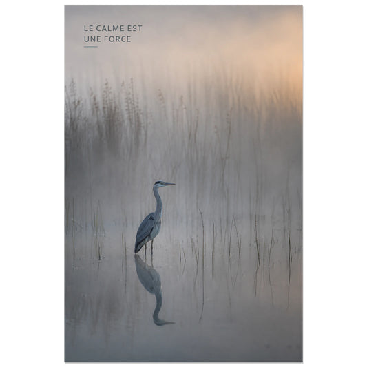 Affiche photo Héron dans la brume - Le calme est une force, photographie animalière minimaliste et contemplative verticale, format 30 × 45 cm
