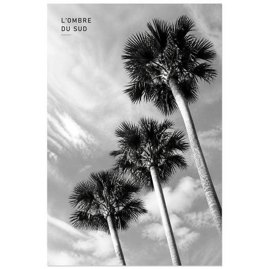 Affiche photo Palmiers en noir et blanc - L’ombre du Sud, photographie tropicale monochrome, graphique et aérienne verticale, format 30 × 45 cm