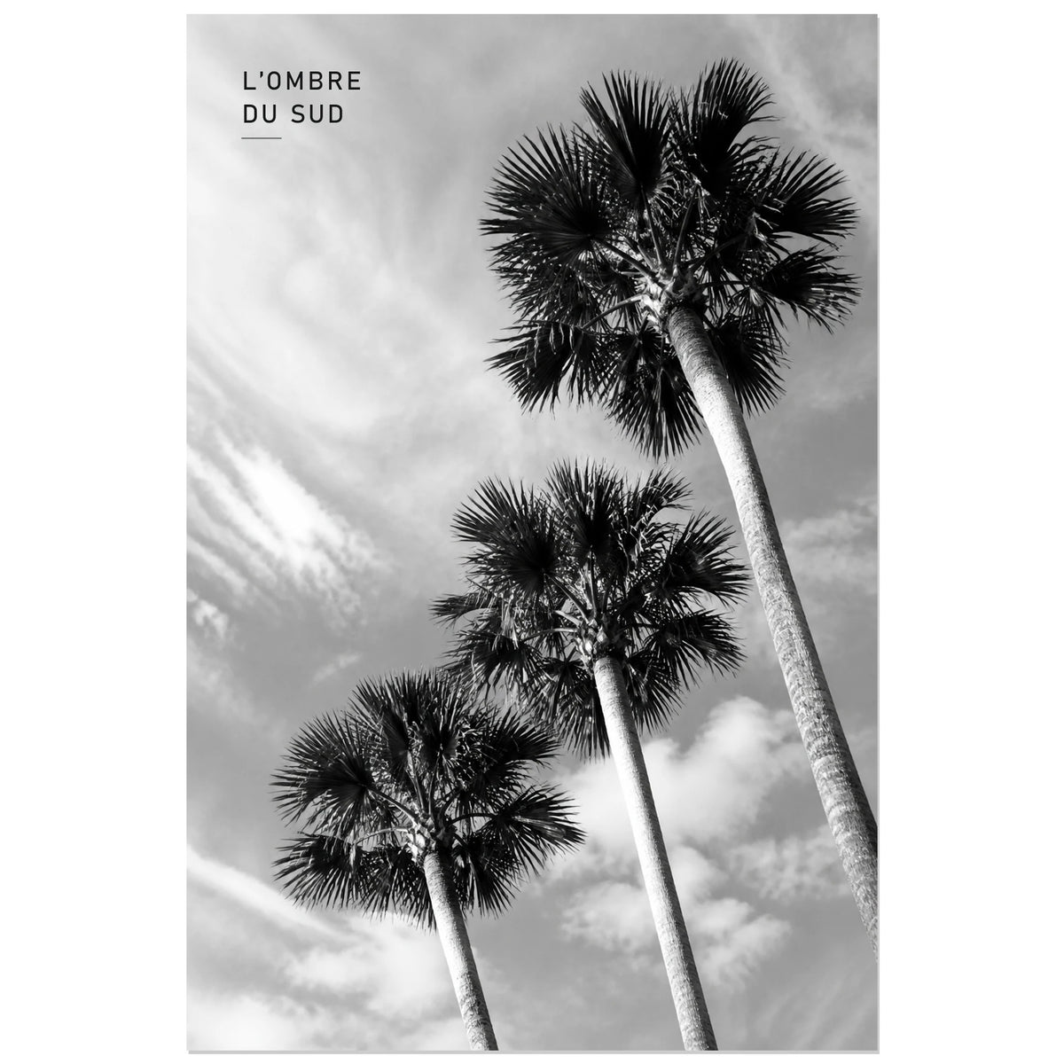 Affiche photo Palmiers en noir et blanc - L’ombre du Sud, photographie tropicale monochrome, graphique et aérienne verticale, format 40 × 60 cm