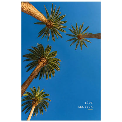 Affiche photo Palmiers vers le ciel - Lève les yeux, photographie tropicale graphique en contre-plongée verticale, format 30 × 45 cm