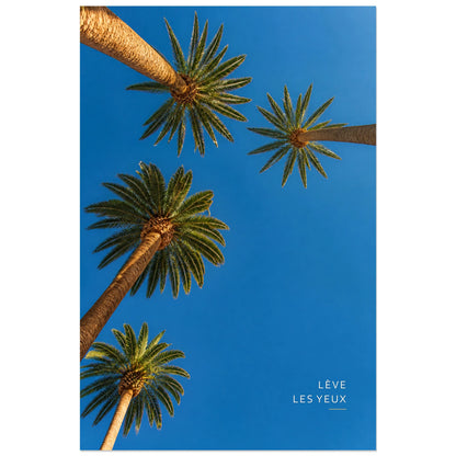Affiche photo Palmiers vers le ciel - Lève les yeux, photographie tropicale graphique en contre-plongée verticale, format 40 × 60 cm
