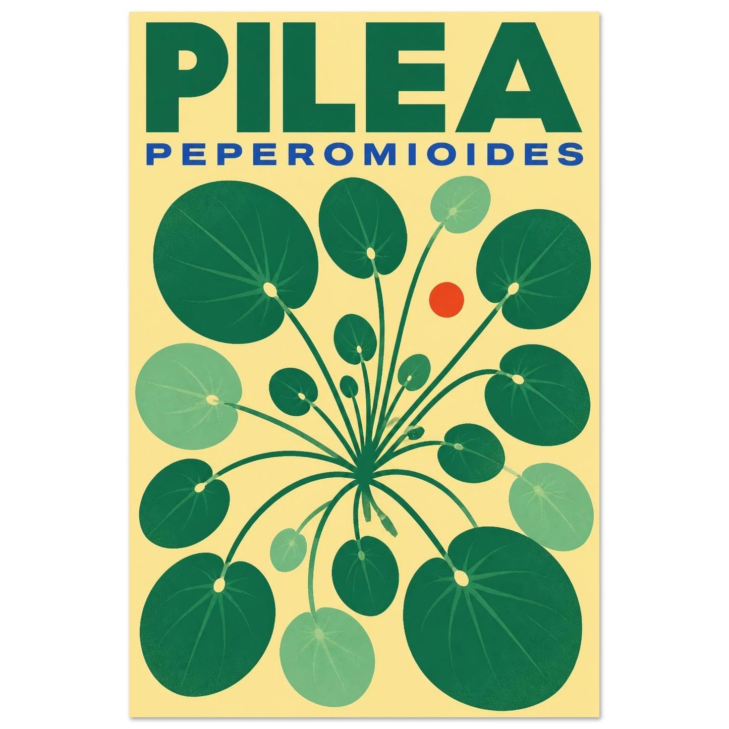 Affiche Pilea – Peperomioides, sérigraphie illustrée verticale, format 30 × 45 cm