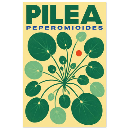 Affiche Pilea – Peperomioides, sérigraphie illustrée verticale, format 60 × 90 cm