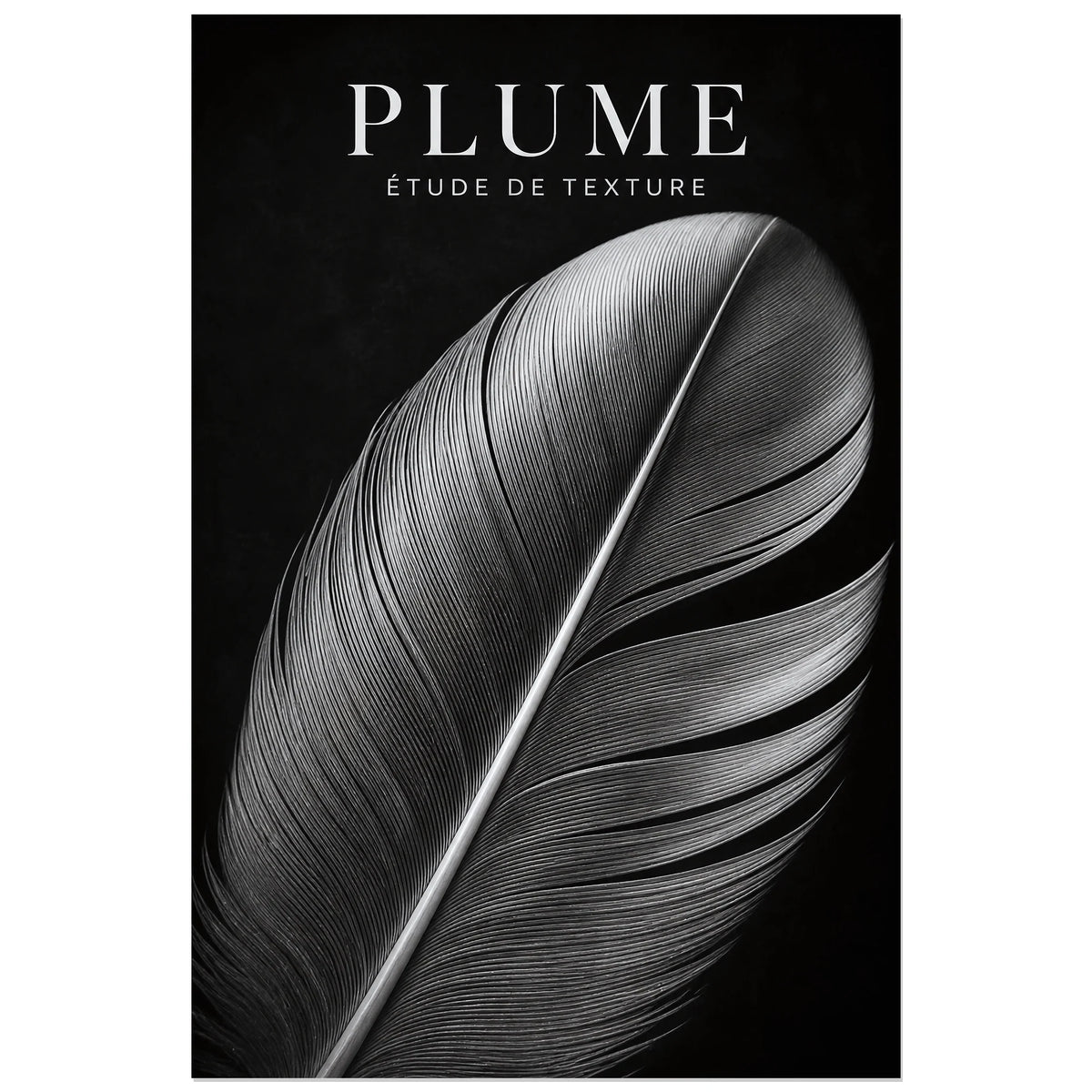 Affiche Plume – Étude de Texture, photographie macro graphique verticale, format 40 × 60 cm