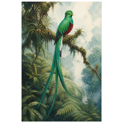 Affiche Quetzal de la forêt des nuages, illustration naturaliste poétique à l’aspect de gouache ancienne verticale, format 30 × 45 cm