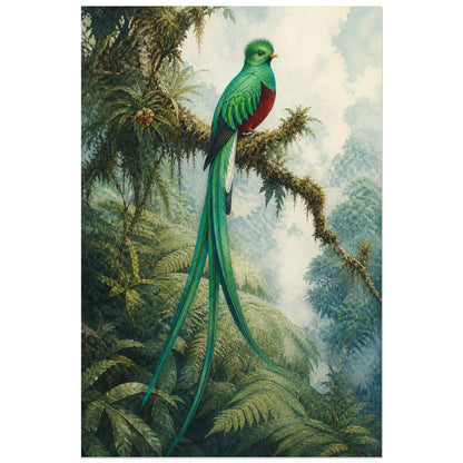 Affiche Quetzal de la forêt des nuages, illustration naturaliste poétique à l’aspect de gouache ancienne verticale, format 60 × 90 cm