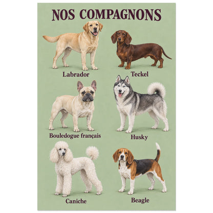 Affiche Races de chiens – Six compagnons, planche naturaliste illustrée / gouache verticale, format 60 × 90 cm