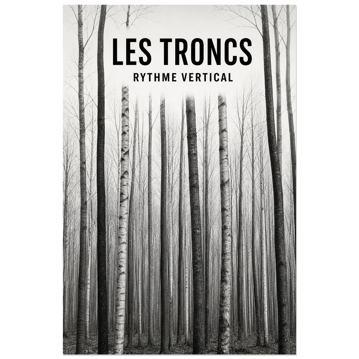 Affiche Les troncs – Rythme vertical, photographie forestière noir et blanc à composition minimaliste verticale, format 40 × 60 cm