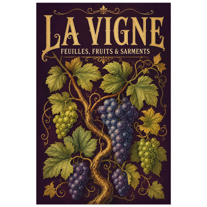 Affiche La vigne, feuilles, fruits et sarments, illustration botanique détaillée inspirée des planches gravées anciennes verticale, format 30 × 45 cm