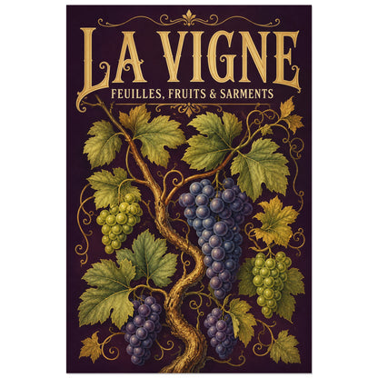 Affiche La vigne, feuilles, fruits et sarments, illustration botanique détaillée inspirée des planches gravées anciennes verticale, format 40 × 60 cm