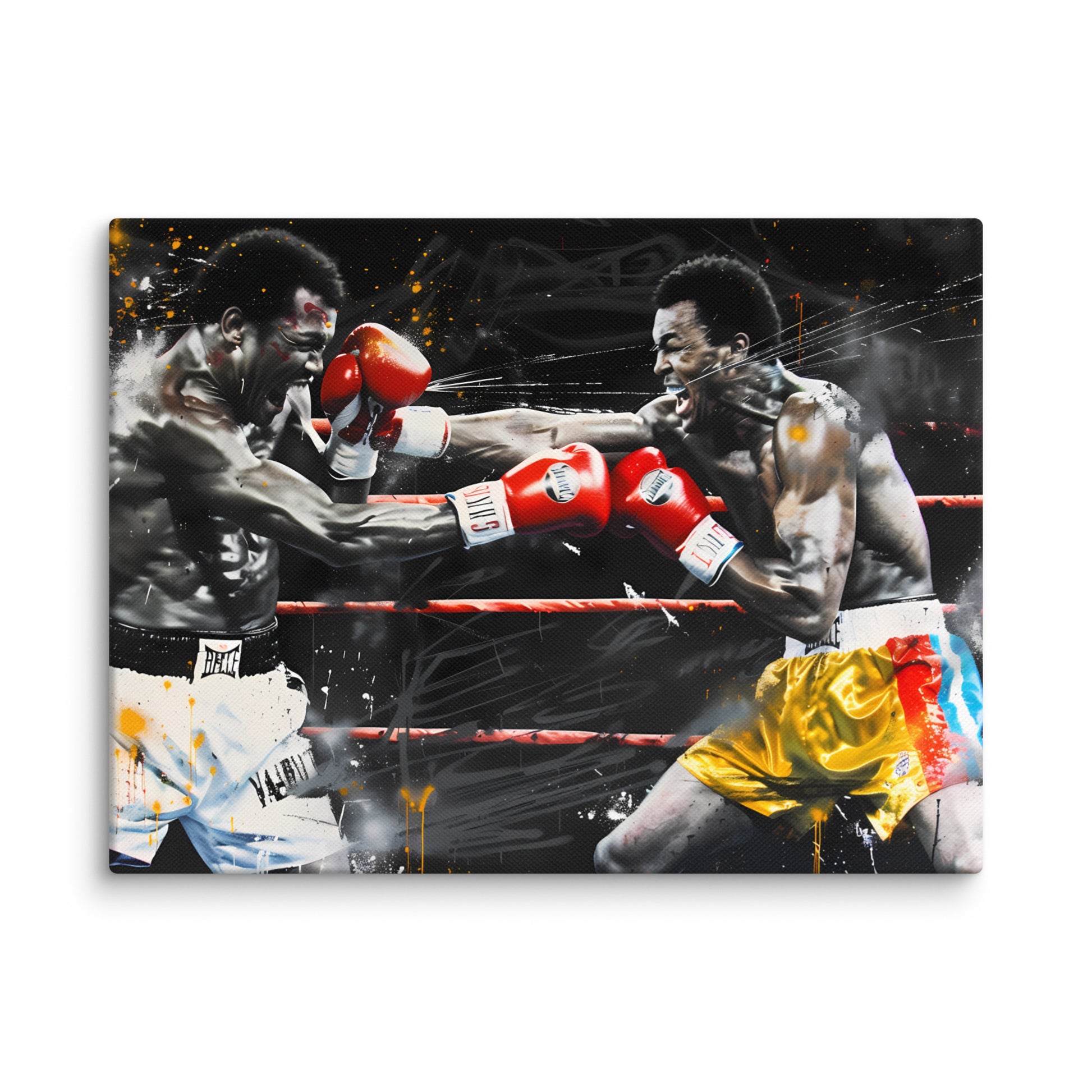 Tableau Boxe Street Art - Virtuoso  Art Virtuoso S  