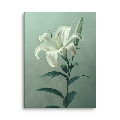 Fleur Peinture - Lys Blanc  Art Virtuoso S  