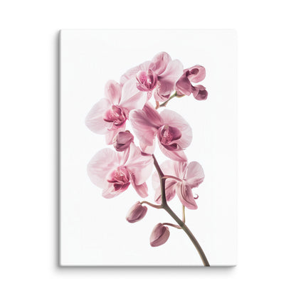 Tableau Zen Orchidée Rose Affiches, reproductions et œuvres graphiques Art Virtuoso S  