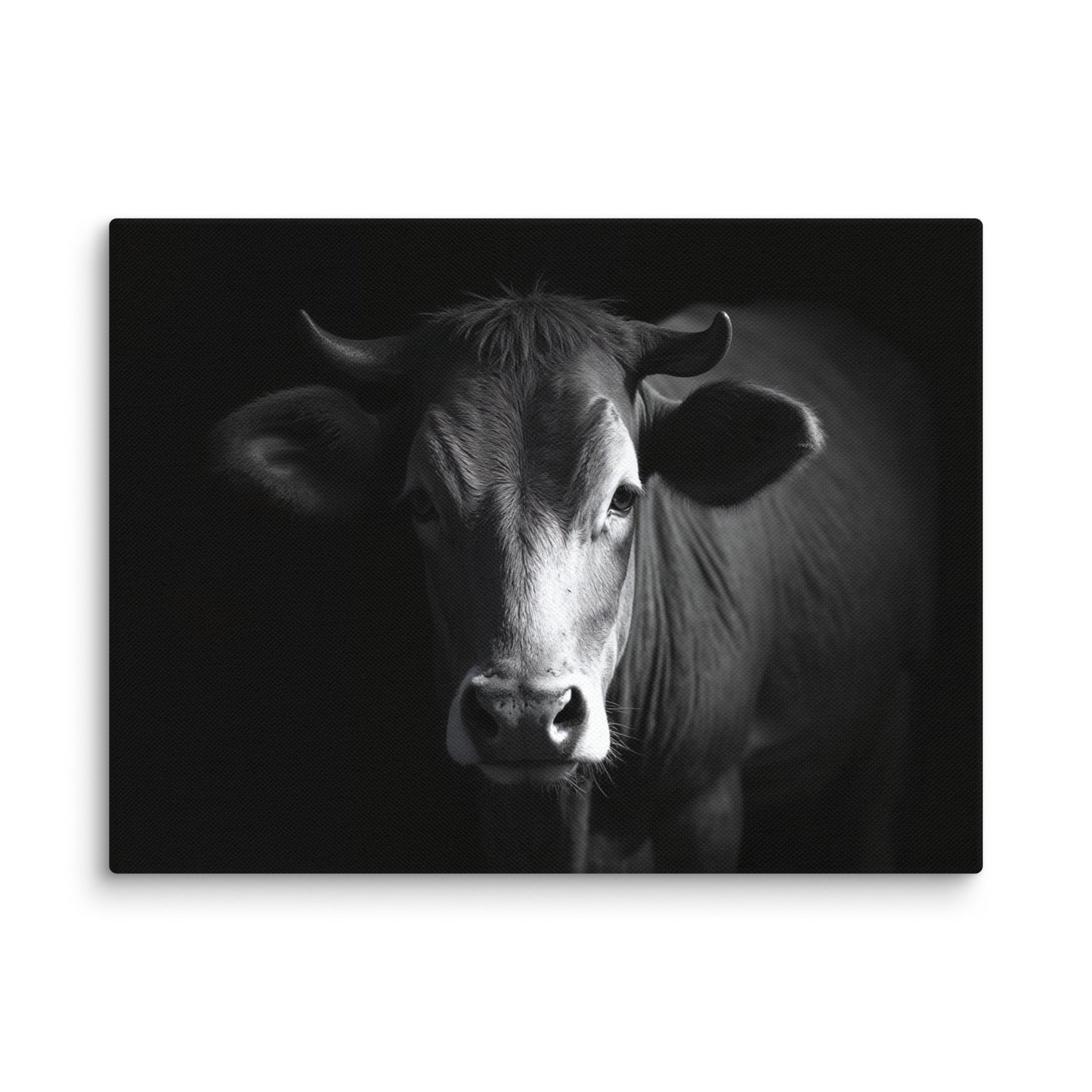 Tableau Photo Vache - Regard Bovin Affiches, reproductions et œuvres graphiques Art Virtuoso S