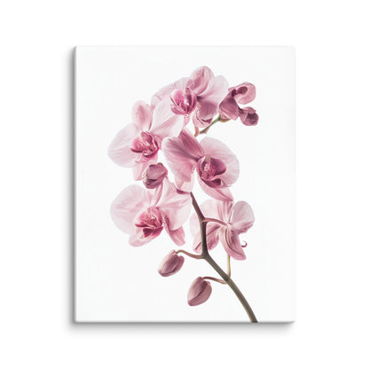 Tableau Zen Orchidée Rose Affiches, reproductions et œuvres graphiques Art Virtuoso M  