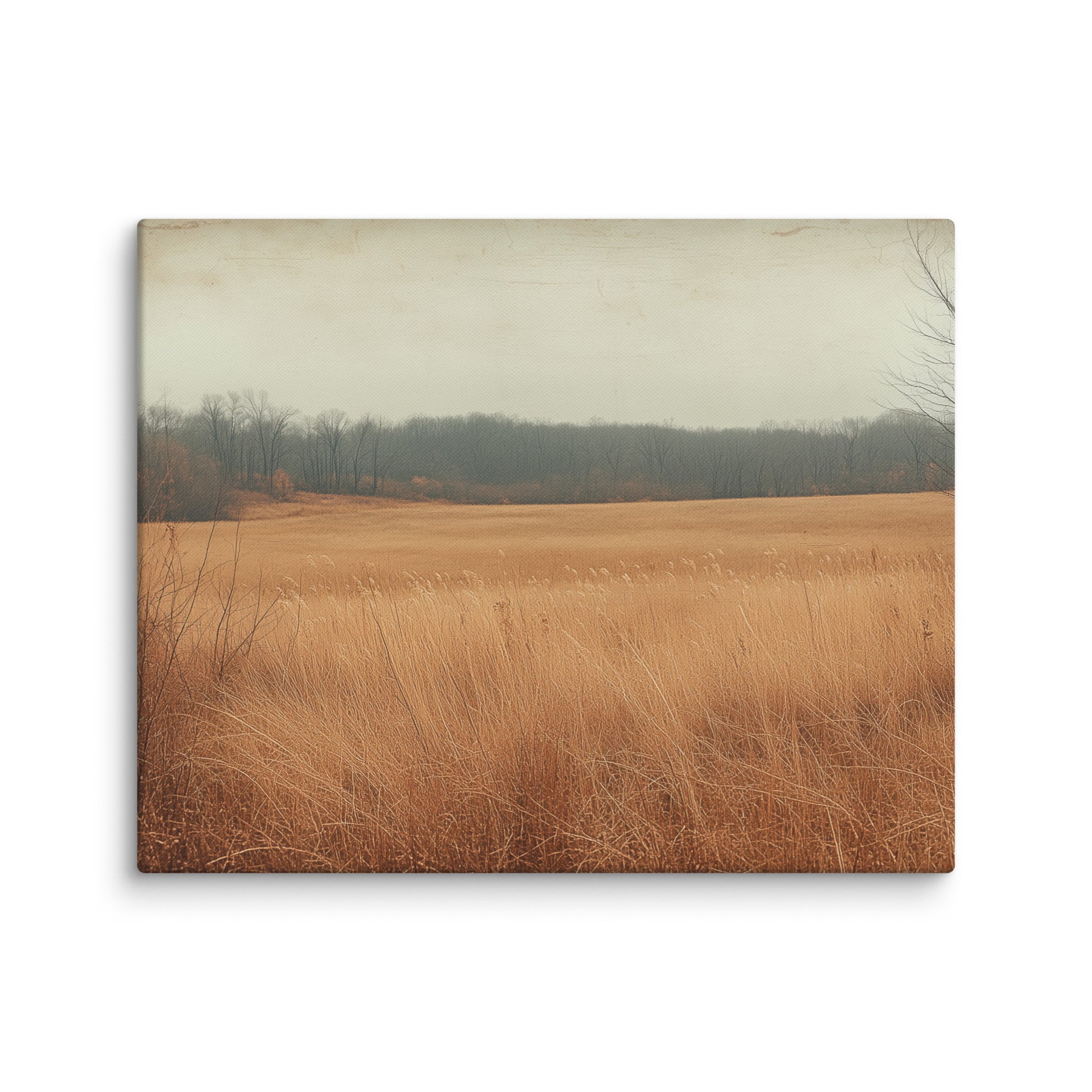 Tableau Paysage Simple - Champ d'Or Automnal Affiches, reproductions et œuvres graphiques Art Virtuoso M  