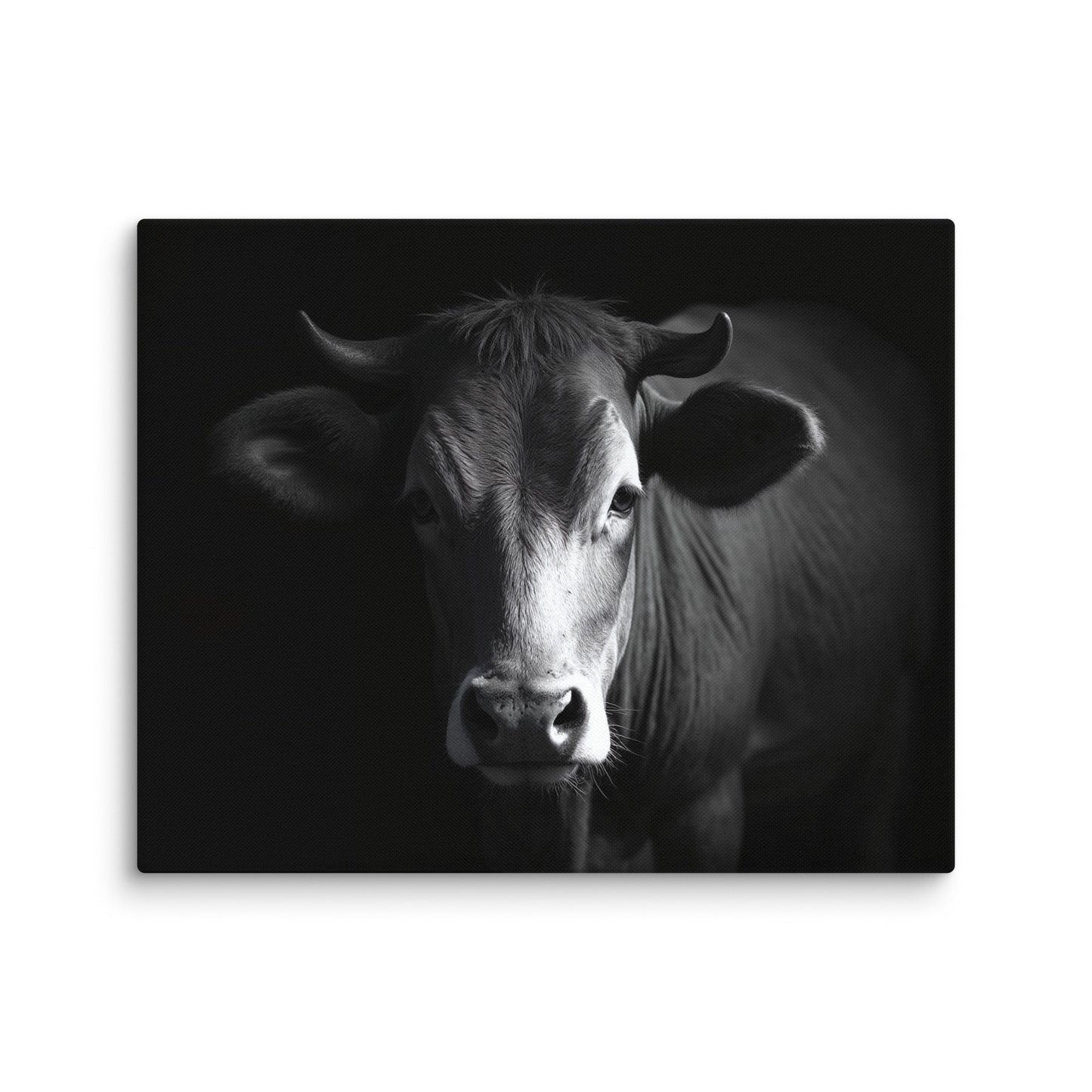 Tableau Photo Vache - Regard Bovin Affiches, reproductions et œuvres graphiques Art Virtuoso M