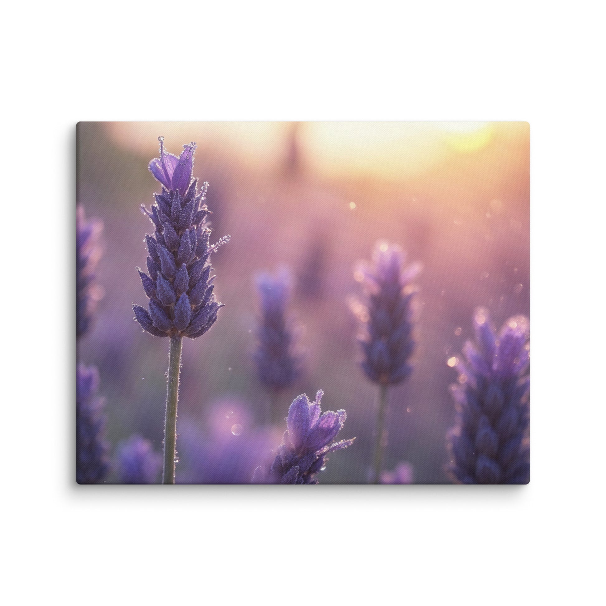tableau lavande au crépuscule violet contemporain zoom détail texture toile grain gouttelettes impression premium