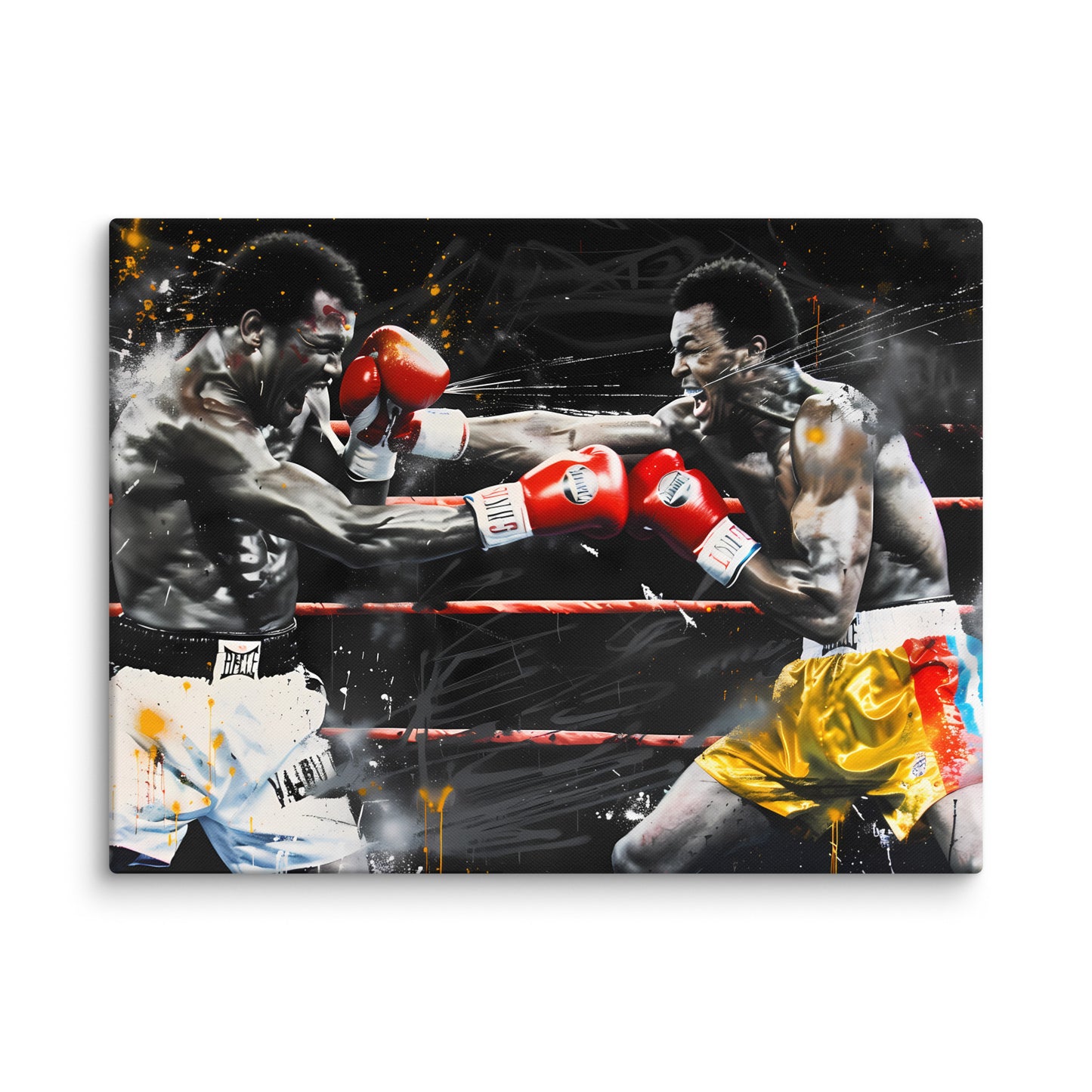 Tableau Boxe Street Art - Virtuoso  Art Virtuoso L  