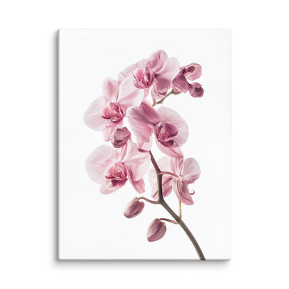 Tableau Zen Orchidée Rose Affiches, reproductions et œuvres graphiques Art Virtuoso L  