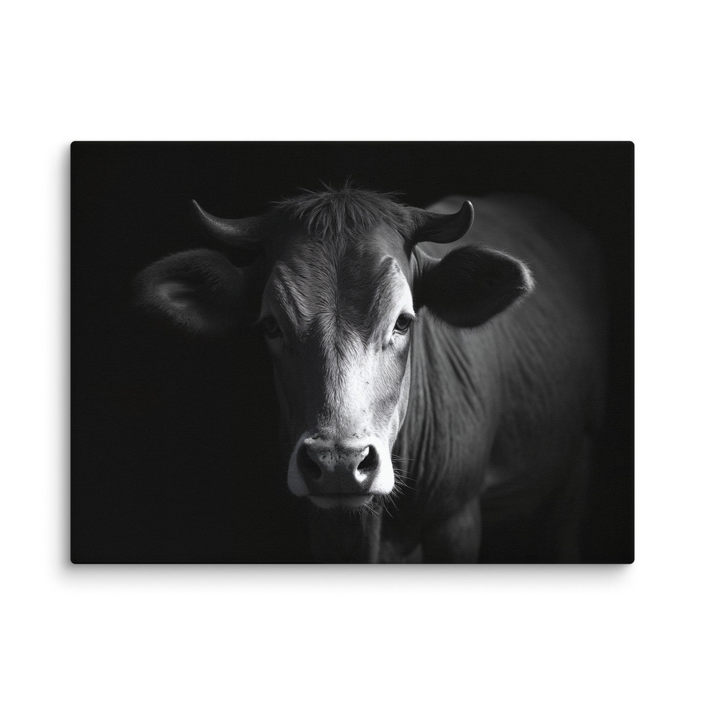 Tableau Photo Vache - Regard Bovin Affiches, reproductions et œuvres graphiques Art Virtuoso L