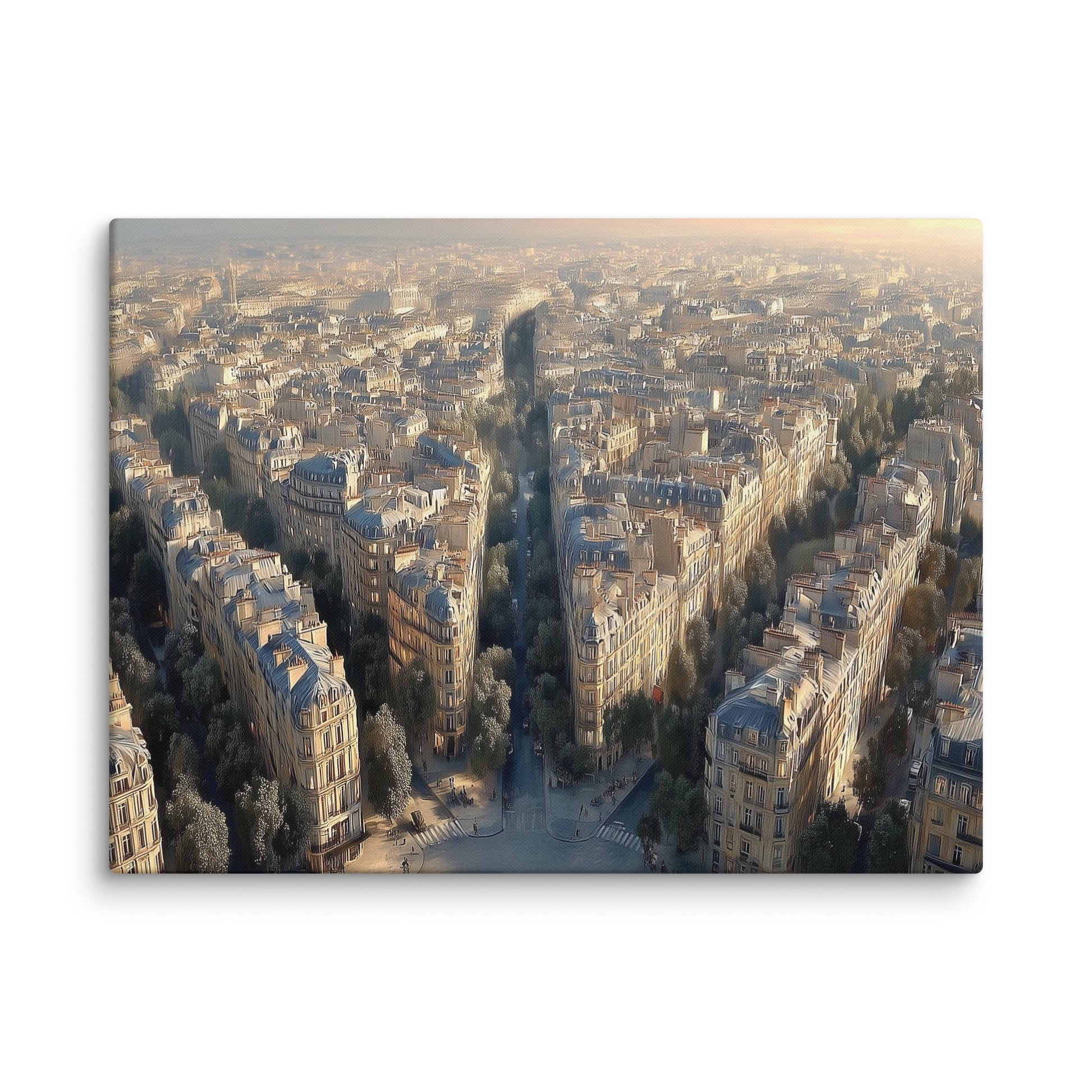Architecture parisienne vue depuis les hauteurs